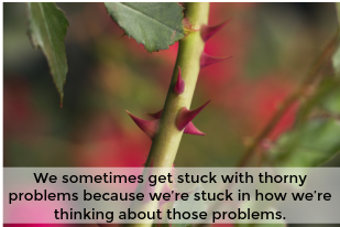 Stuck with a thorny problem? The way out might surprise you