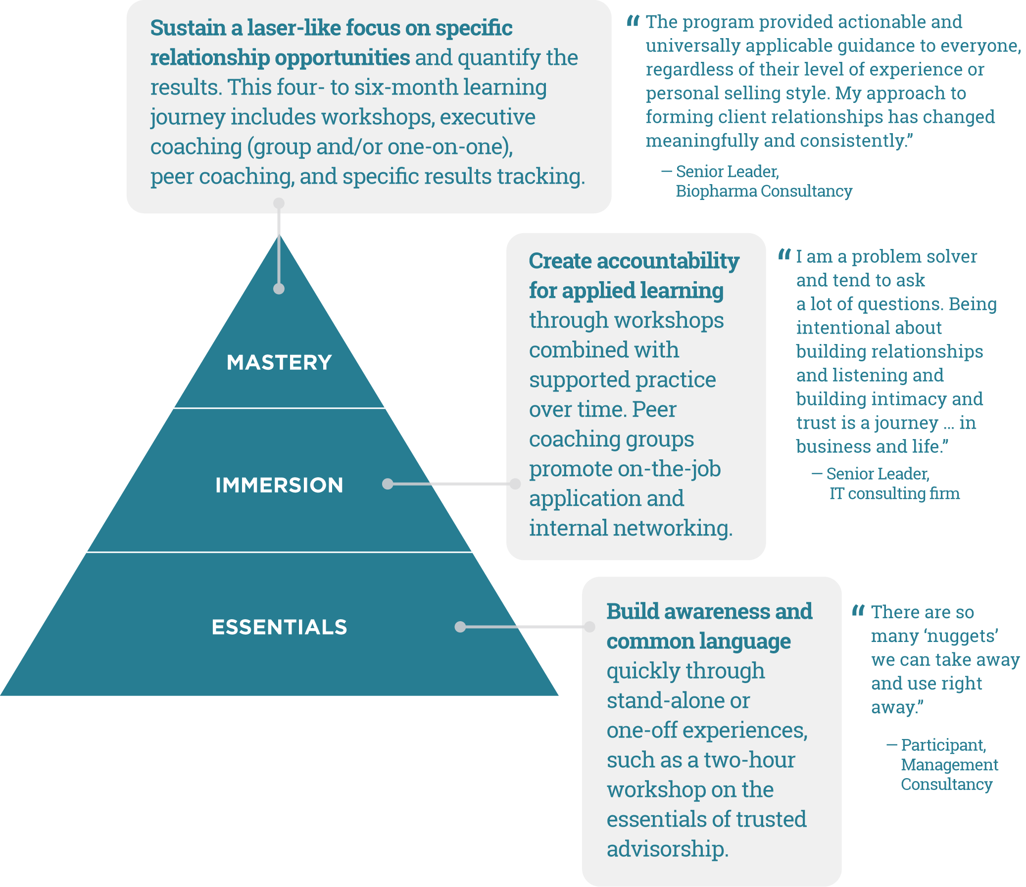 Master, Immersion, and Essentials triangle infographic