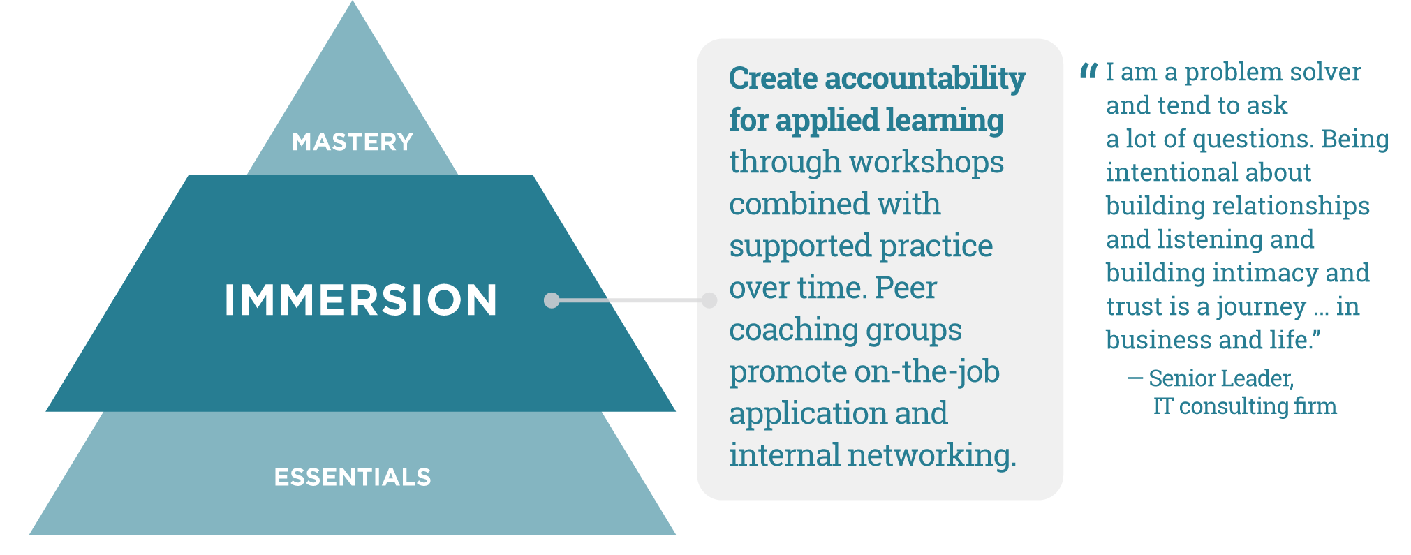Immersion infographic
